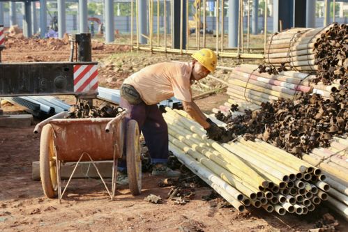 遂寧高新區西部鐵路物流園 錯時施工巧避高溫，安全進度雙贏并舉